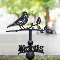 Thrush Steel Weathervane in Location