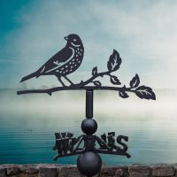 Thrush Weathervane on Shoreline