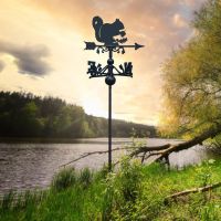 Squirrel Free Standing Weathervane in Situ
