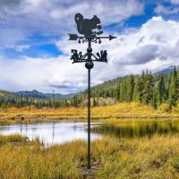 Free Standing Weathervane with Squirrel Topper