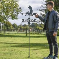 Fish Free Standing Weathervane to Scale Fish Free Standing Weathervane to Scale
