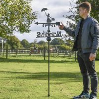 Mary Poppins Free Standing Weathervane to Scale