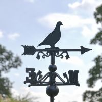 Pigeon Topper on the Weathervane