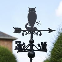 Owl Topper on the Weathervane Owl Topper on the Weathervane