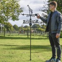 Giraffe Free Standing Weathervane to Scale