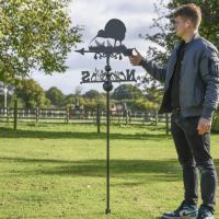 Kiwi Bird Free Standing Weathervane to Scale Kiwi Bird Free Standing Weathervane to Scale