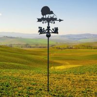 Free Standing Weathervane with Kiwi Bird Motif Free Standing Weathervane with Kiwi Bird Motif
