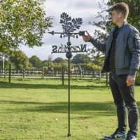 Oak Leaves Free Standing Weathervane to Scale Oak Leaves Free Standing Weathervane to Scale