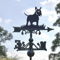 Close-Up of English Bull Terrier Topper