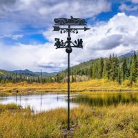 SP250 Daimler Free Standing Weathervane in Situ
