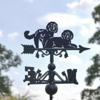 Close-Up of Two Cockapoos Topper Close-Up of Two Cockapoos Topper