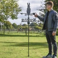 Mr Rabbit Free Standing Weathervane to Scale Mr Rabbit Free Standing Weathervane to Scale