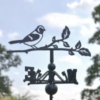 Close-Up of Sparrow Topper