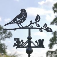 Close-Up of Thrush Topper