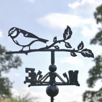 Close-Up of Blue Tit Topper Close-Up of Blue Tit Topper