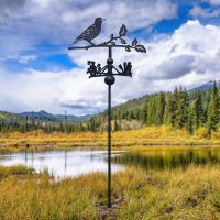 Free Standing Weathervane with Starling Topper