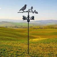 Starling Free Standing Weathervane in Situ
