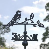 Close-Up of House Martin Topper