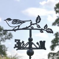 Close-up of Blackcap Topper