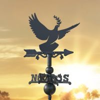 Owl on Miniature Weathervane at Sunset