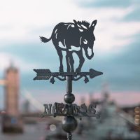 Donkey on Miniature Weathervane in Situ