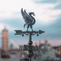 Liver Bird on Miniature Weathervane in Situ Liver Bird on Miniature Weathervane in Situ