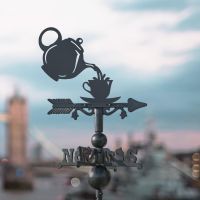 Kingfisher on Miniature Weathervane in Situ Kingfisher on Miniature Weathervane in Situ