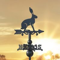 Hare on Miniature Weathervane at Sunset Hare on Miniature Weathervane at Sunset