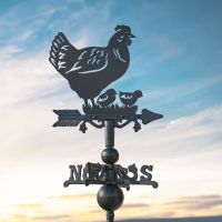 Hen & Chicks on Miniature Weathervane at Dusk