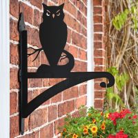 Owl Hanging Basket Bracket on a Brick Wall