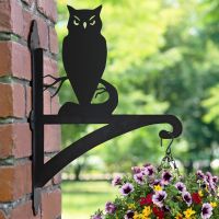 Owl Hanging Basket Bracket in Garden