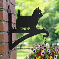 West Highland Terrier Hanging Basket Bracket in Situ on a Brick Wall