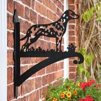 Dalmatian Dog Hanging Basket Bracket in Situ on a Brick Wall Dalmatian Dog Hanging Basket Bracket in Situ on a Brick Wall