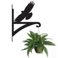 Cornish Chough Hanging Basket Bracket Holding a Plant