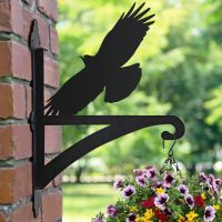 Cornish Chough Hanging Basket Bracket in Garden
