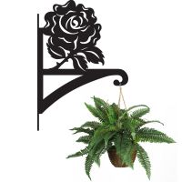 English Rose Hanging Basket Bracket Holding a Plant