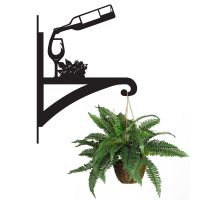 Vineyard Hanging Basket Bracket with Plant