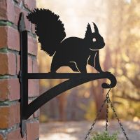 Red Squirrel Hanging Basket Bracket in Situ