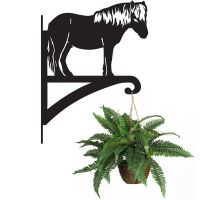 Shetland Pony Hanging Basket Bracket Holding a Plant