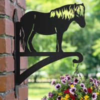Shetland Pony Bracket Basket in Garden