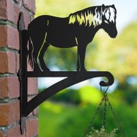 Shetland Pony Bracket Hanging Basket Bracket in Situ 