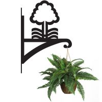 Nottingham Tree Hanging Basket Bracket Holding a Plant Nottingham Tree Hanging Basket Bracket Holding a Plant