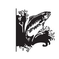 Freshwater Salmon Hanging Basket Bracket on White Background