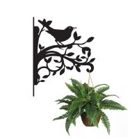 Blackbird Hanging Basket Bracket on white background