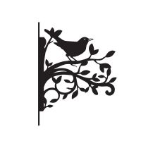Blackbird Hanging Basket Bracket on white background