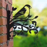 Iron Hanging Basket Bracket with Bullfinch