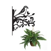 Great Grey Shrike Iron Hanging Basket Bracket Holding a Hanging Basket