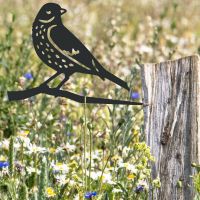 Thrush Spike in Situ 