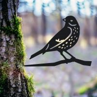 Thrush Tree Spike in Situ 