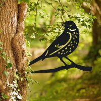 Thrush Bird Tree Spike